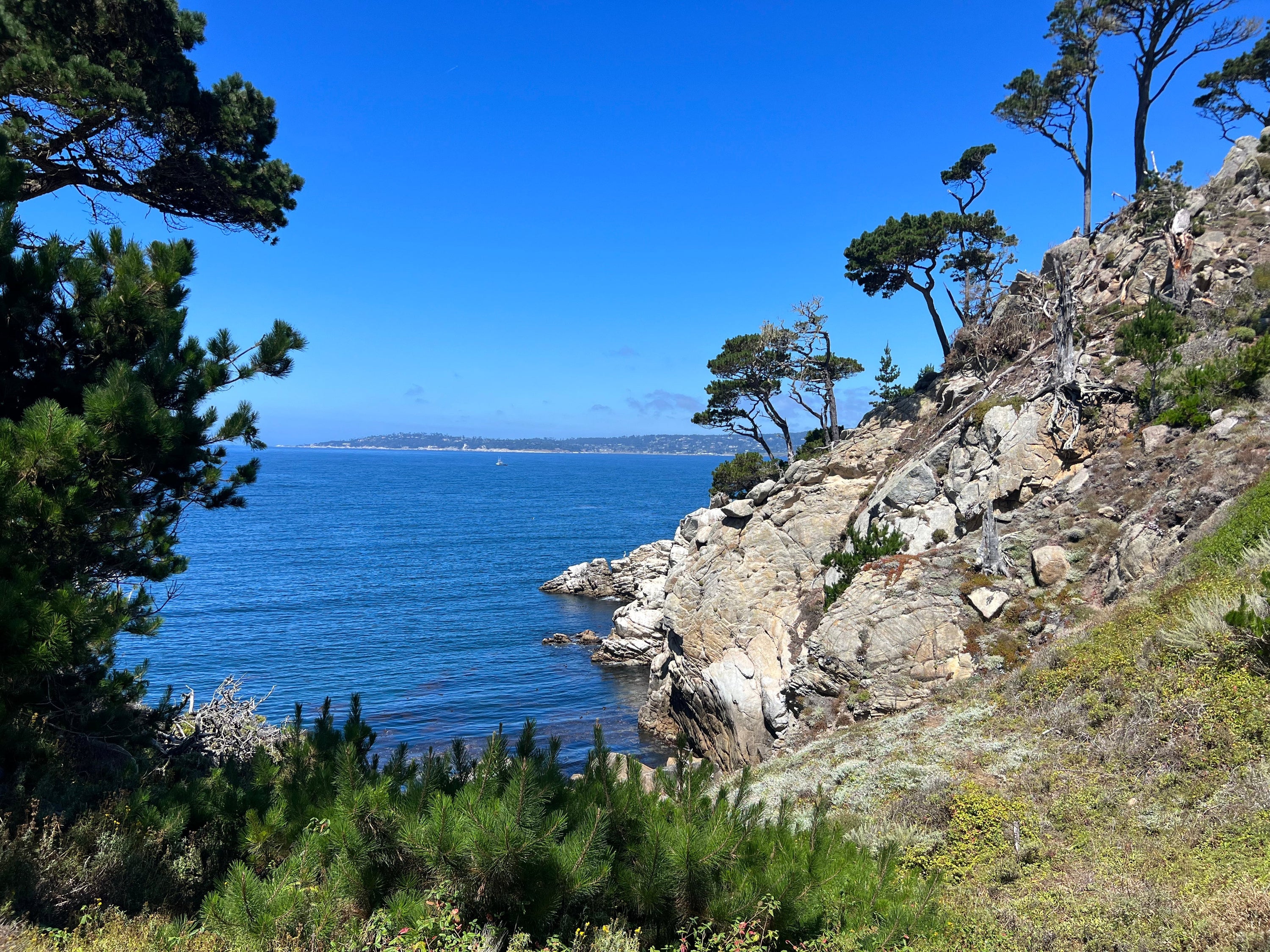 Point Lobos State Park, California Route 1