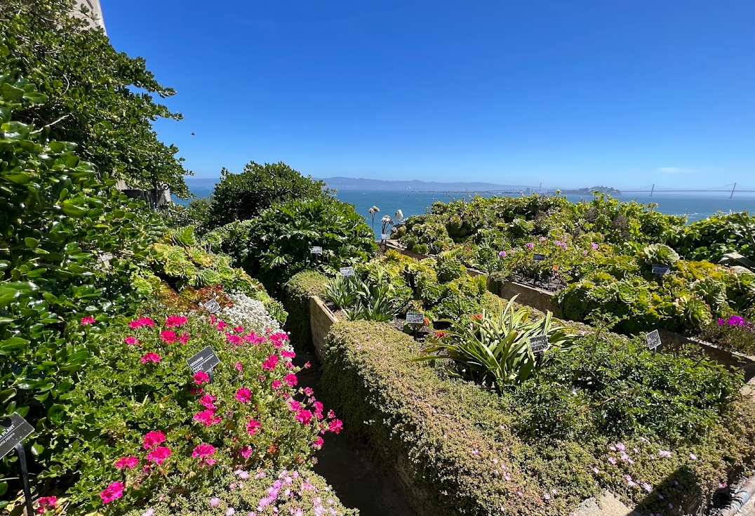 Visiting Alcatraz with kids